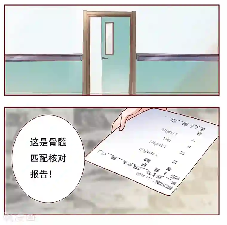 霸道总裁爱上我第114话 骨髓移植