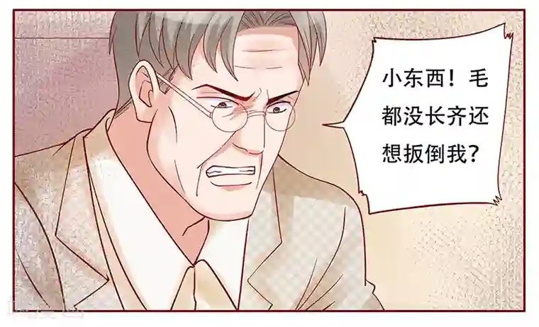 霸道总裁爱上我第145话 反击开始