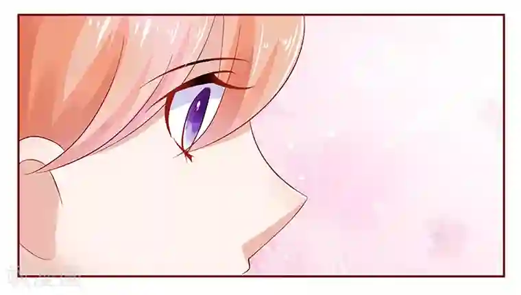 霸道总裁爱上我第186话 去看森森