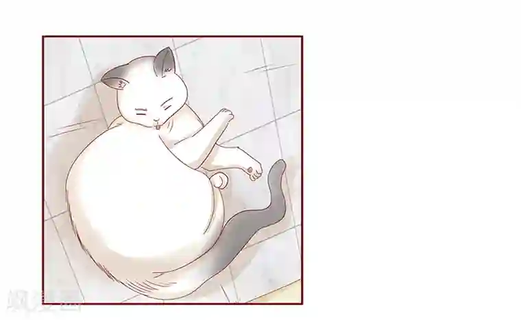 霸道总裁爱上我第190话 这事也该结束了