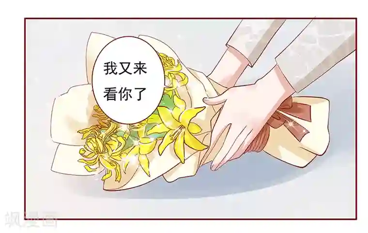 霸道总裁爱上我第191话 我又来看你了