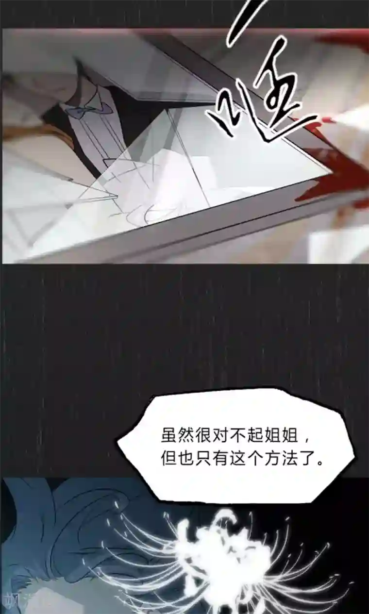 替身名媛预告