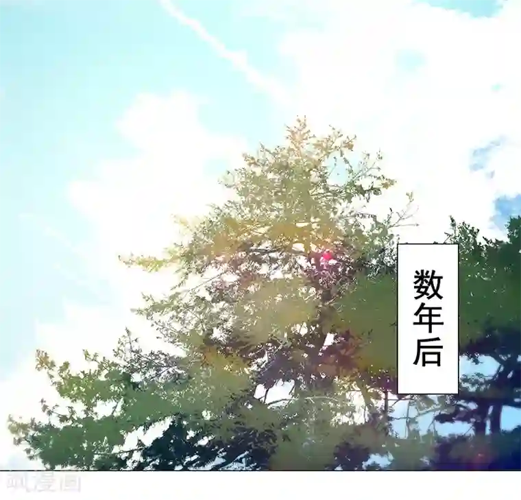 替身名媛最终话