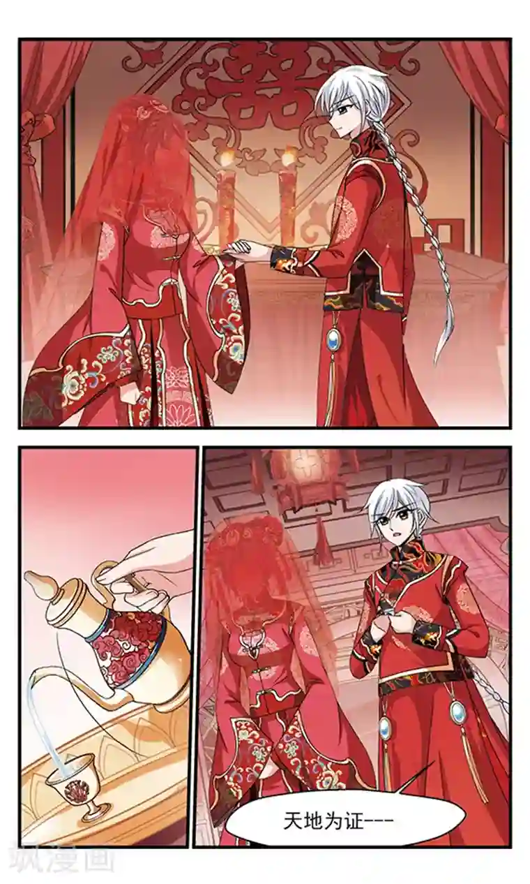 妃夕妍雪第290话 完婚2