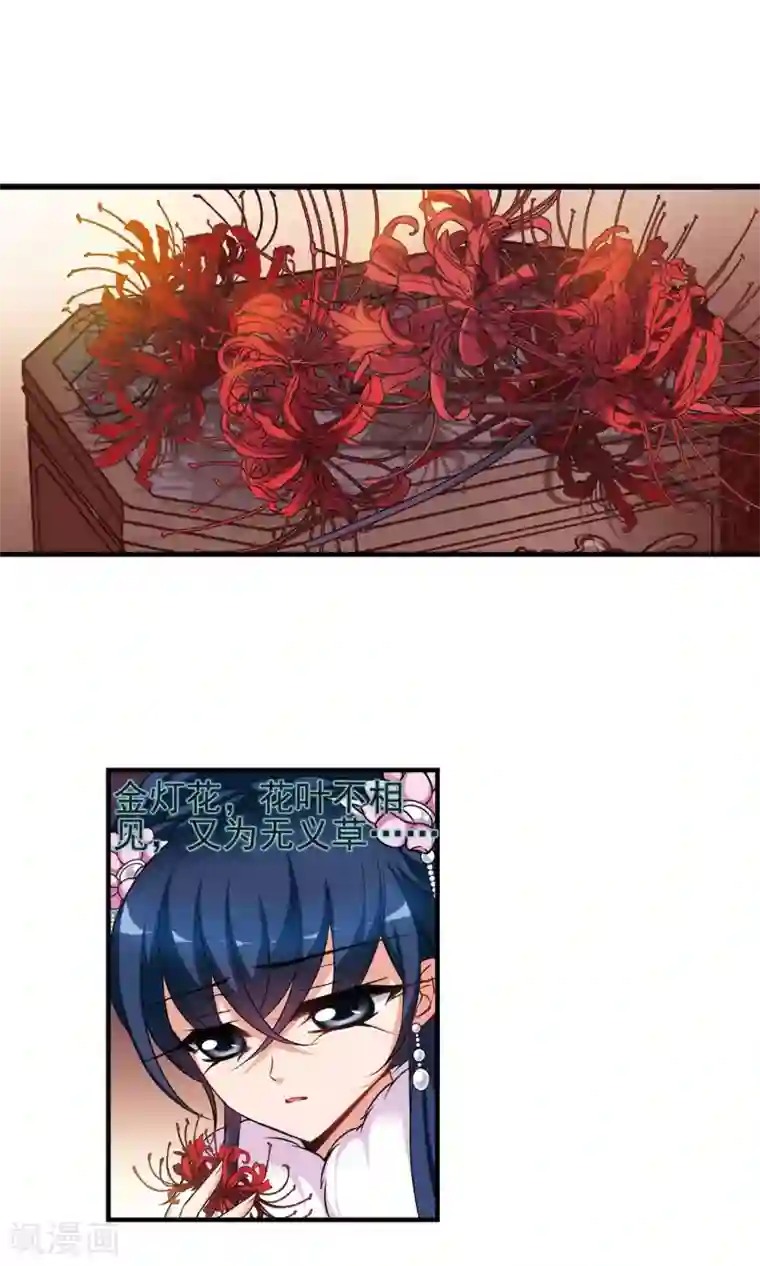 妃夕妍雪第407话 金灯花开1