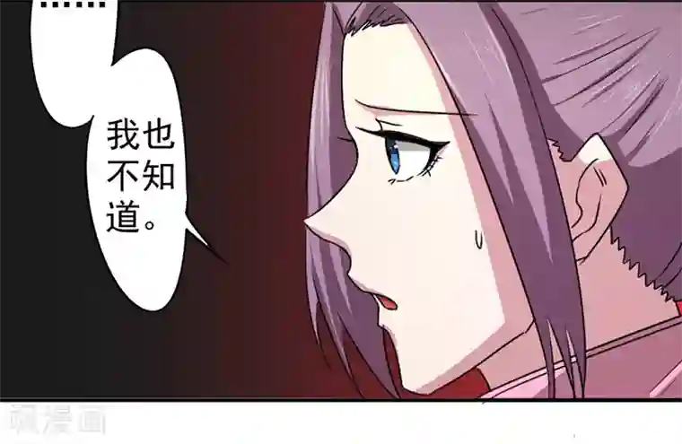 密客行动第35话