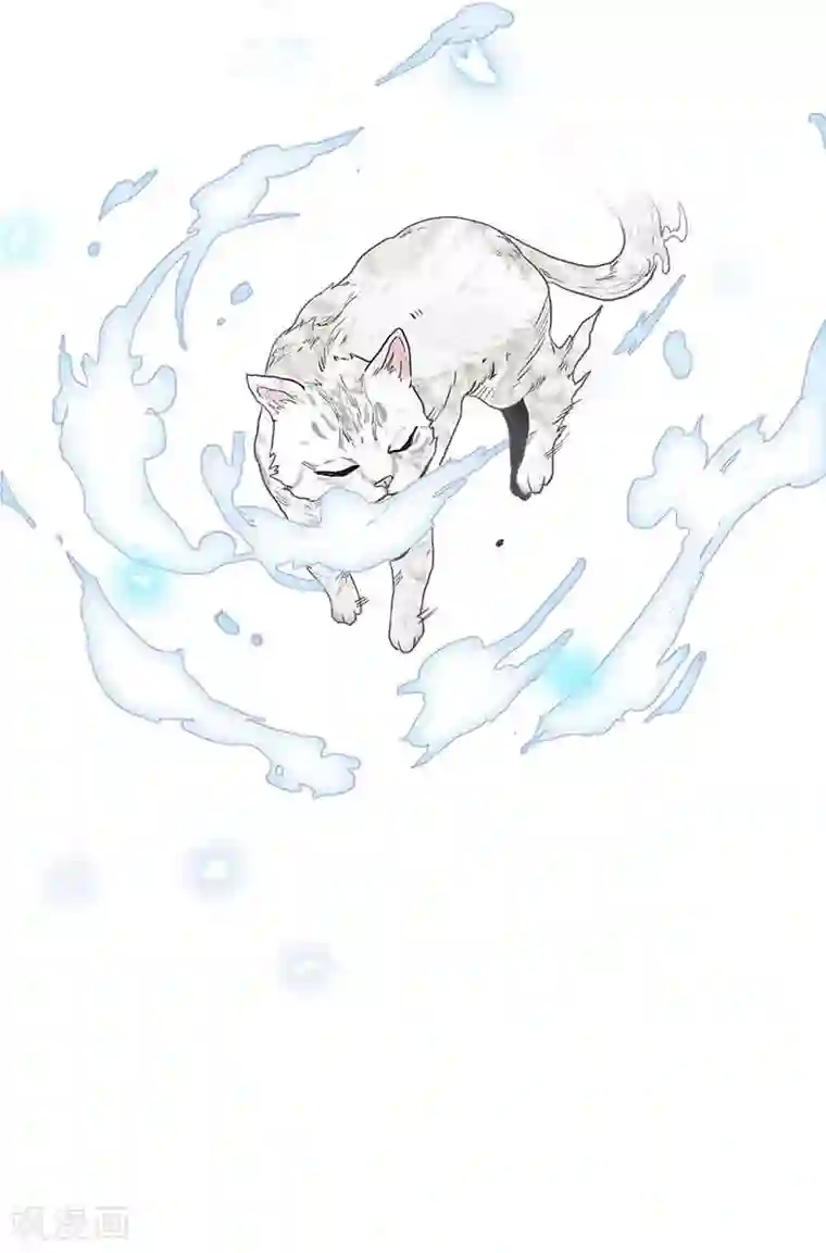 她是猫第1话 阿拉丁之猫的报恩