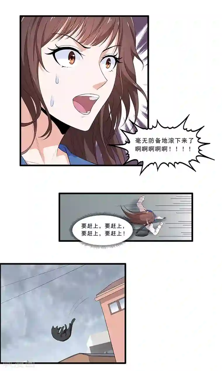 她是猫第1话 阿拉丁之猫的报恩