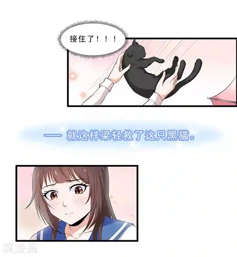 她是猫第1话 阿拉丁之猫的报恩