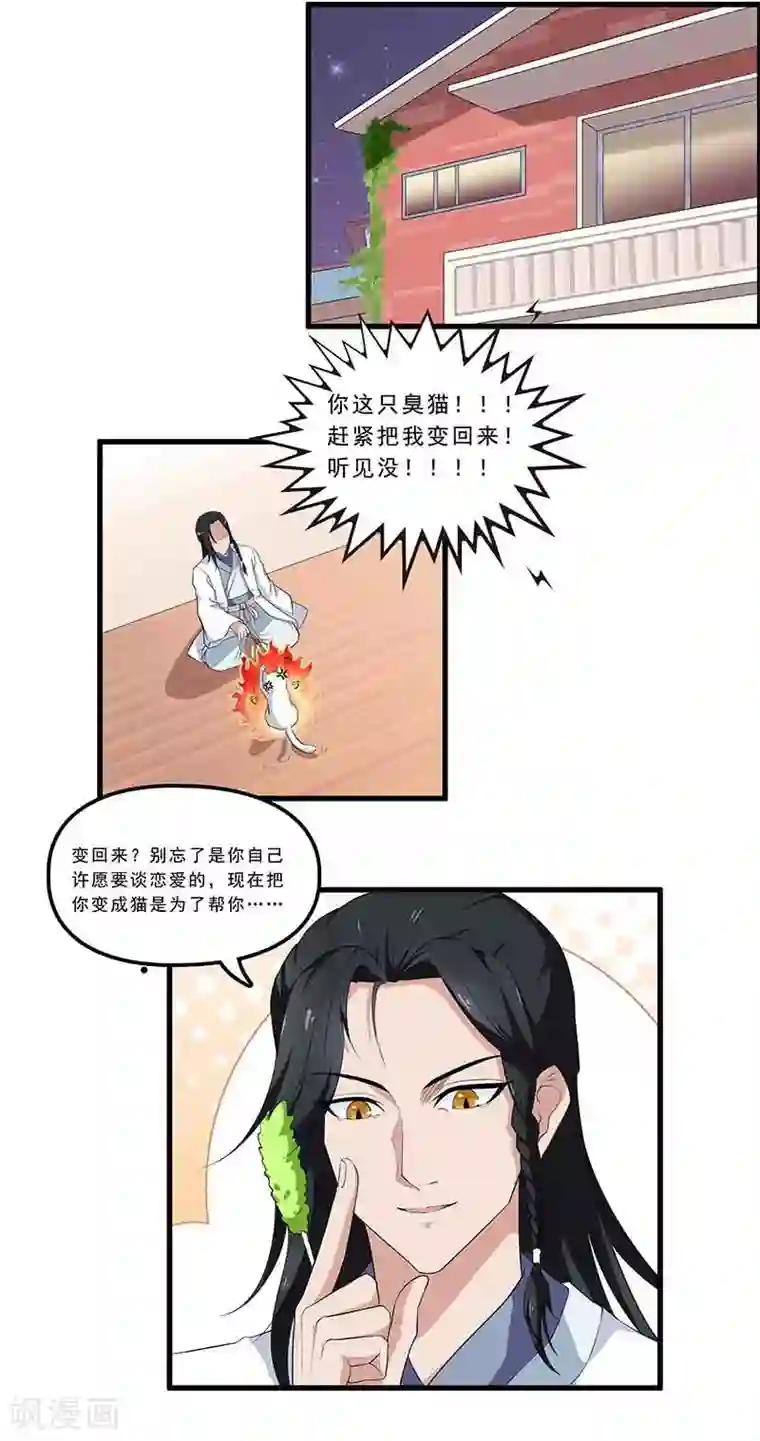 她是猫第1话 阿拉丁之猫的报恩