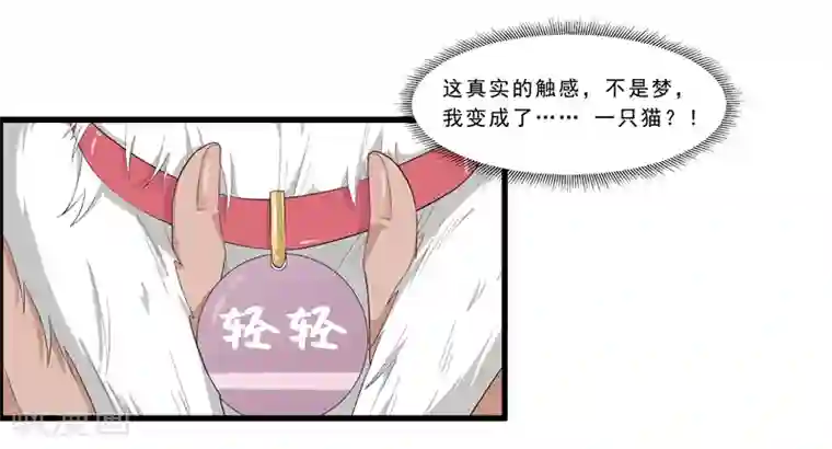 她是猫第1话 阿拉丁之猫的报恩