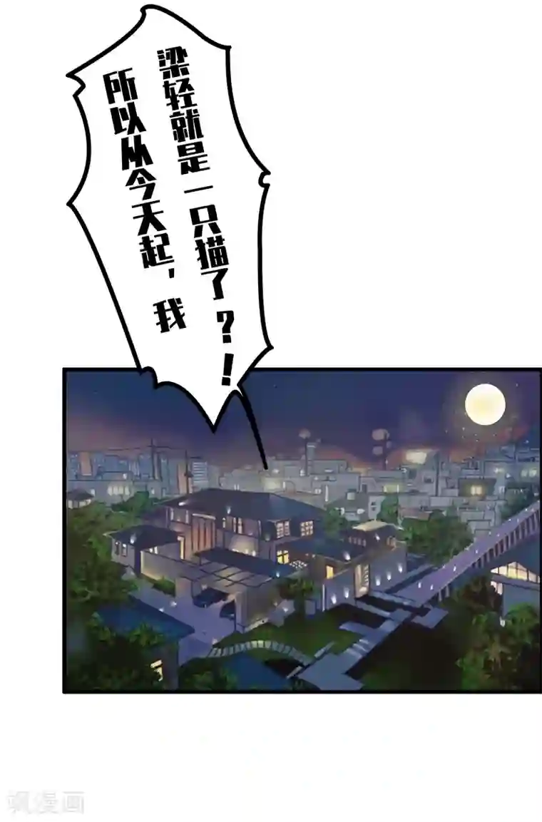 她是猫第1话 阿拉丁之猫的报恩