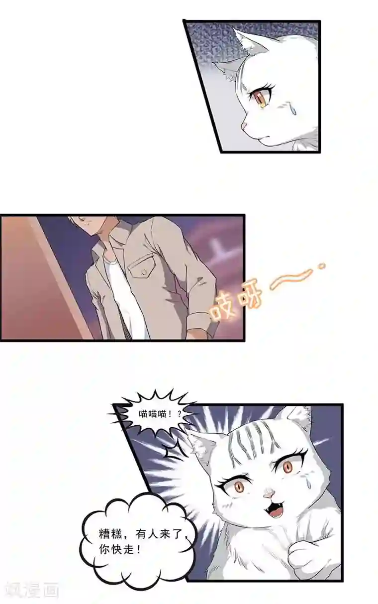 她是猫第1话 阿拉丁之猫的报恩