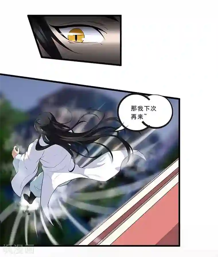 她是猫第1话 阿拉丁之猫的报恩