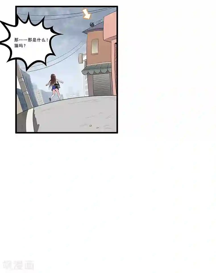 她是猫第1话 阿拉丁之猫的报恩