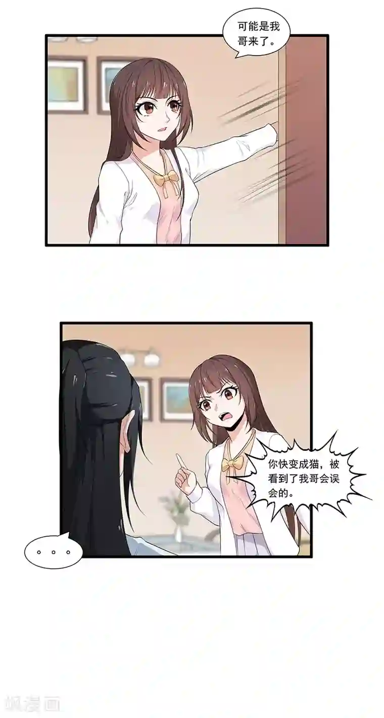 她是猫第3话 哥哥来了