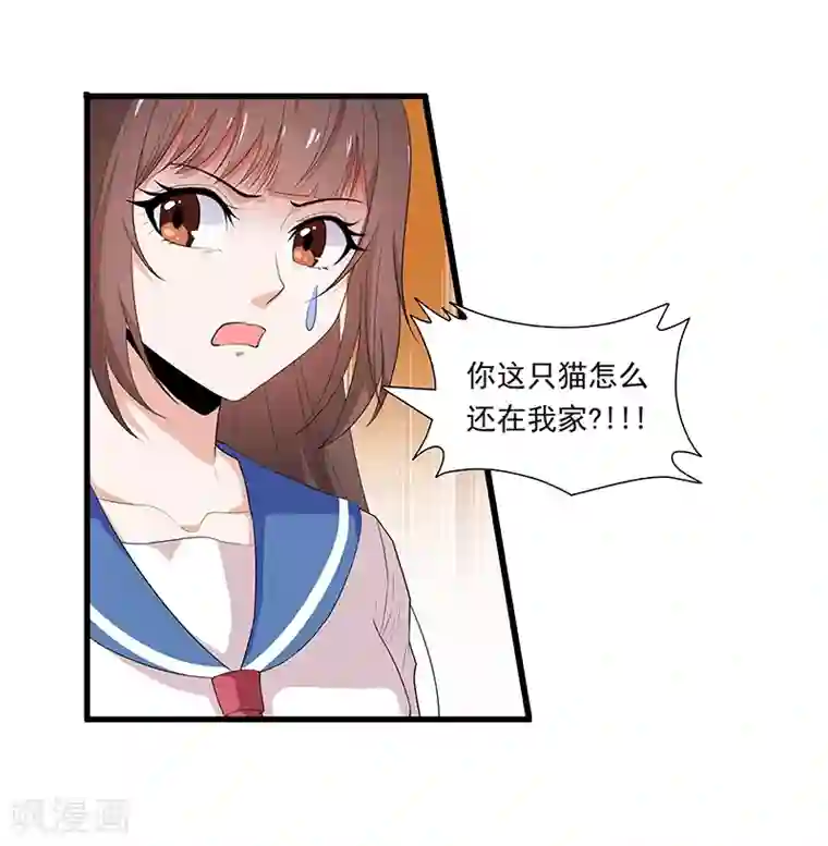 她是猫第3话 哥哥来了