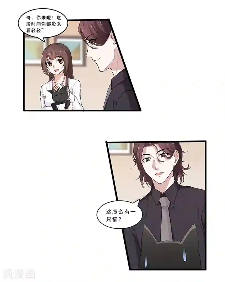 她是猫第4话 危机！不许养猫？