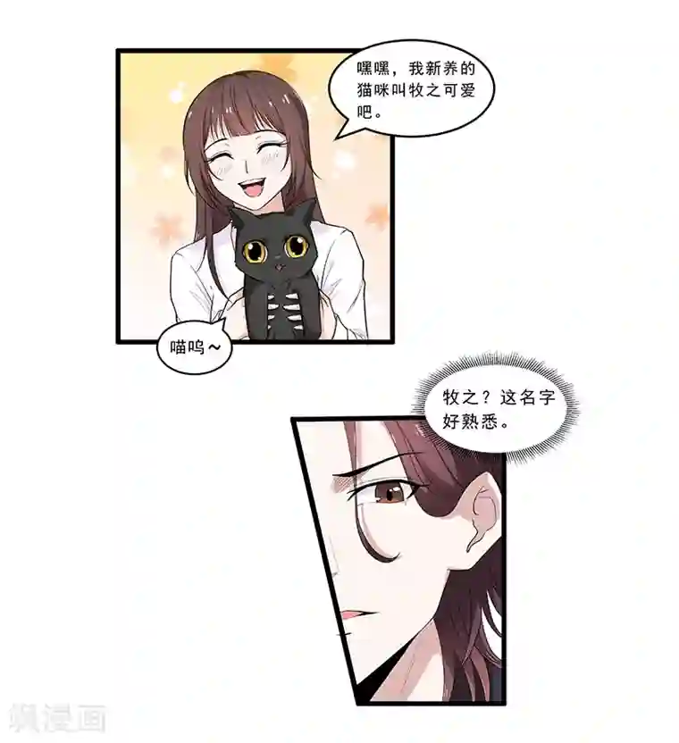 她是猫第4话 危机！不许养猫？