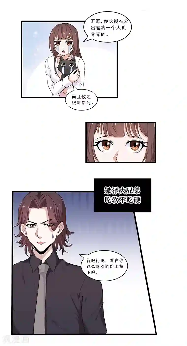 她是猫第4话 危机！不许养猫？