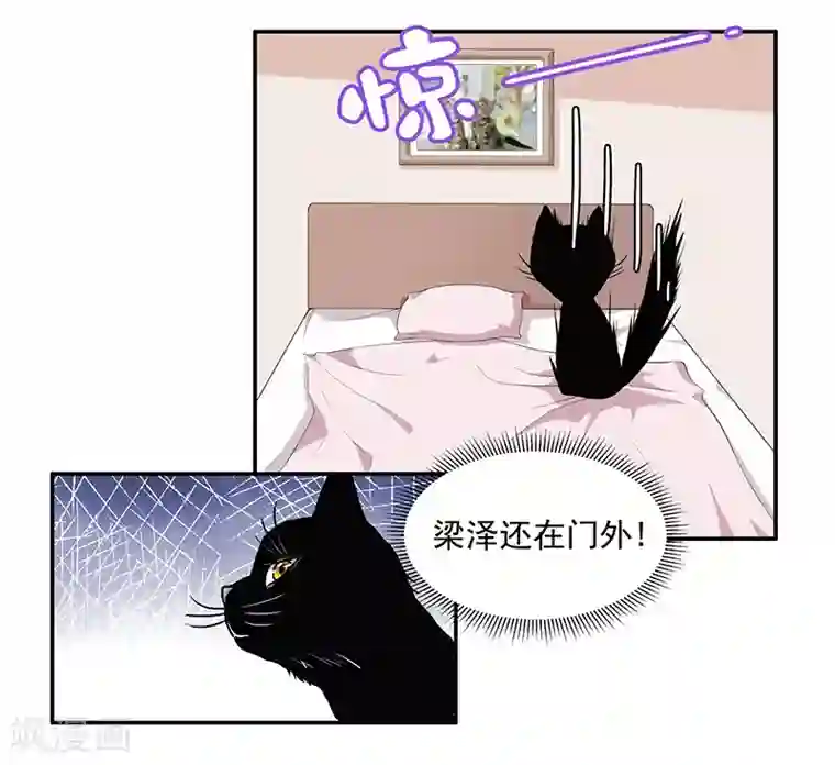 她是猫第5话 哥哥知道什么？