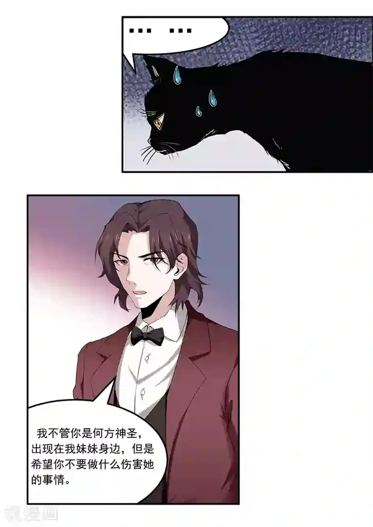她是猫第5话 哥哥知道什么？