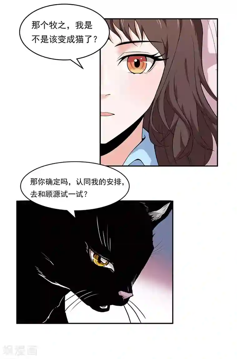 她是猫第5话 哥哥知道什么？