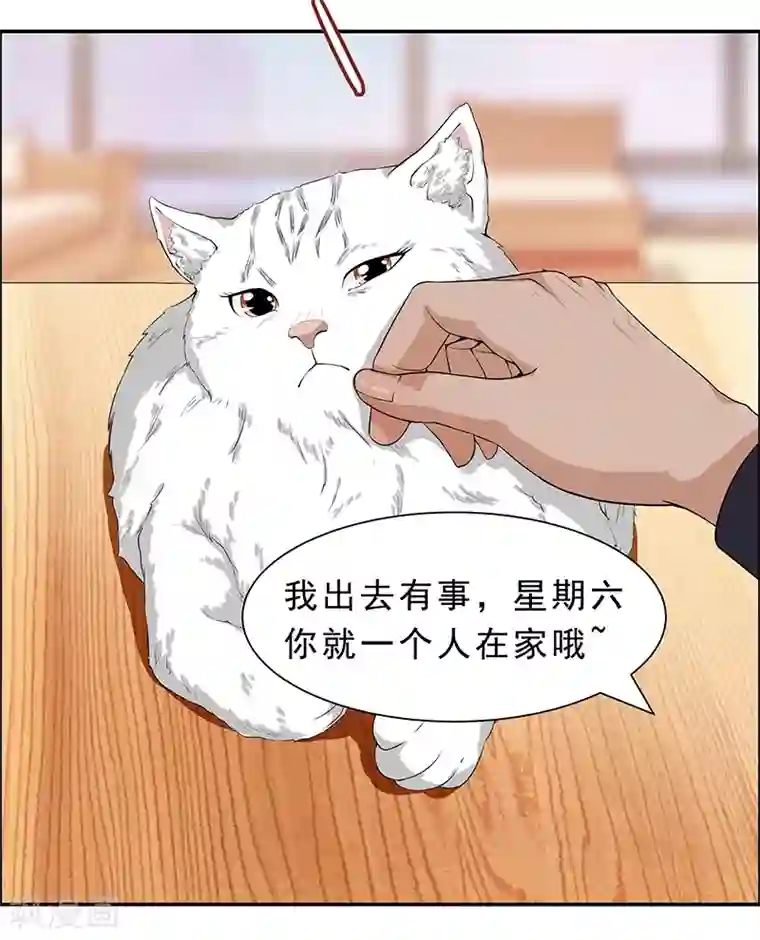 她是猫第6话 这是只有想法的猫