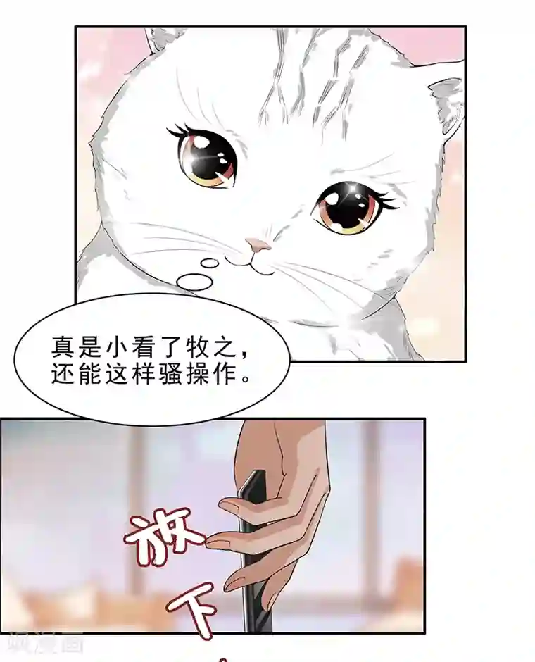 她是猫第6话 这是只有想法的猫