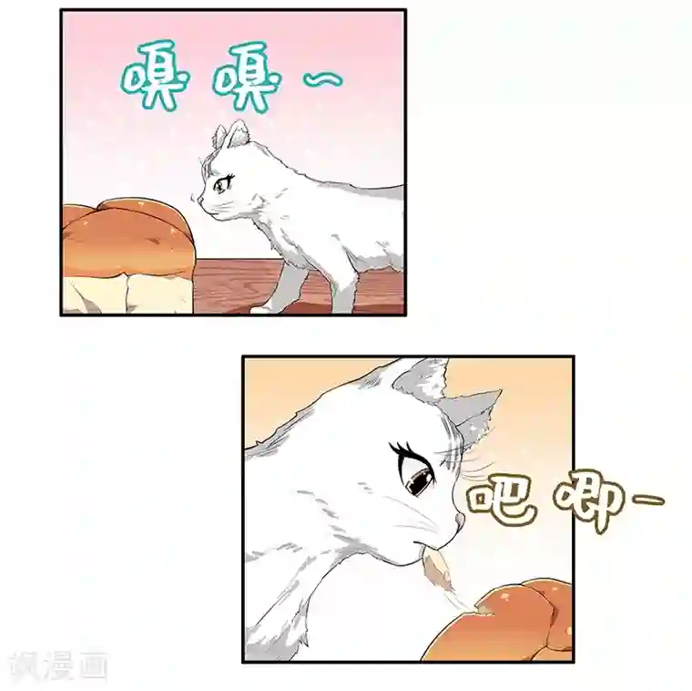 她是猫第8话 画标注的传说