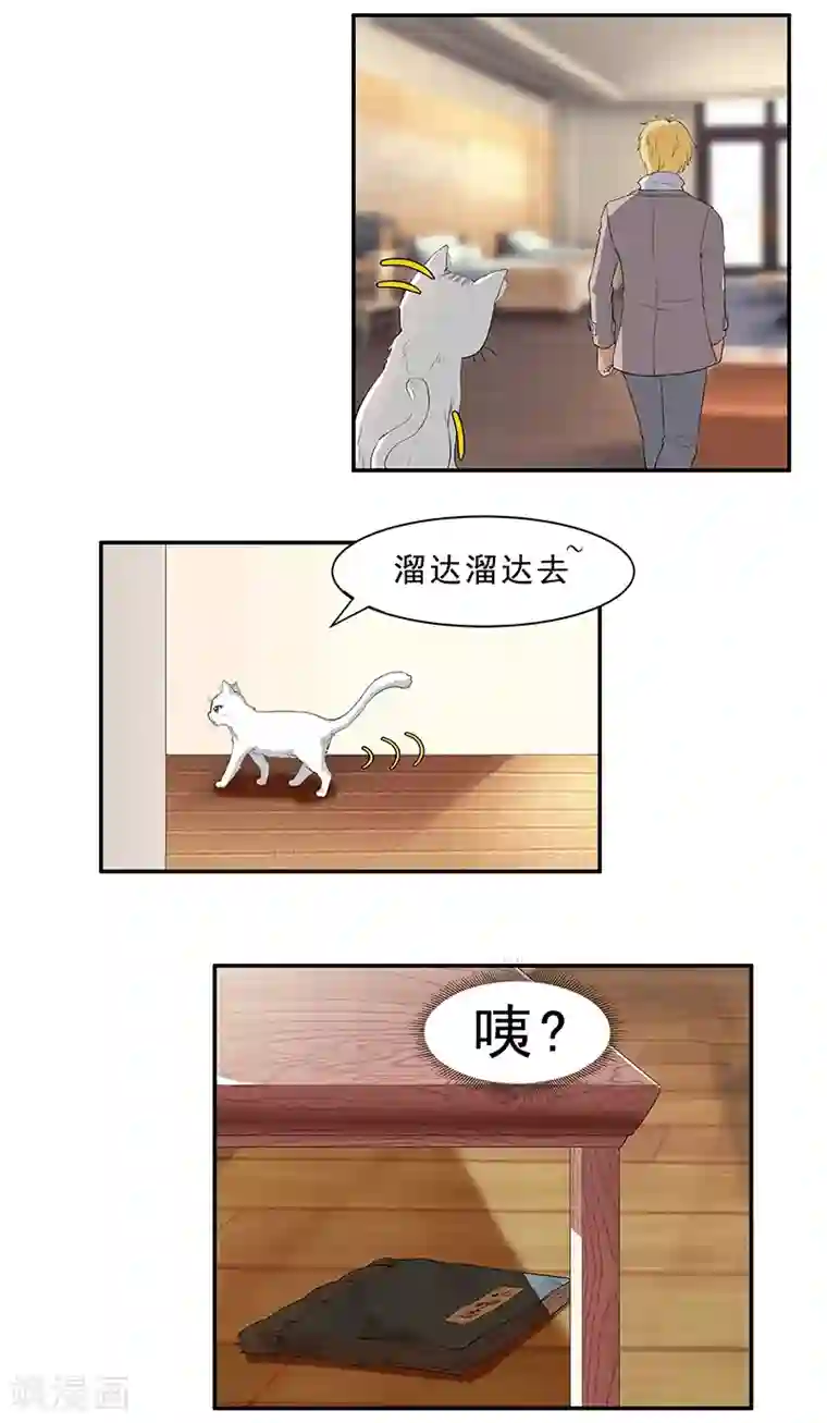 她是猫第8话 画标注的传说