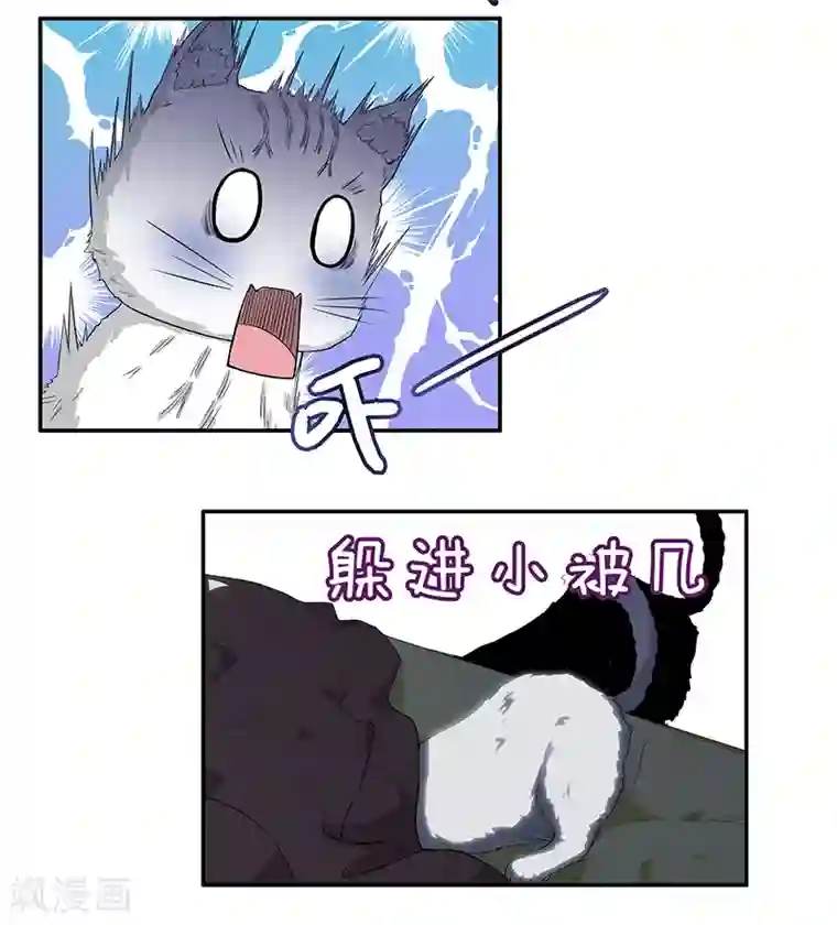 她是猫第9话 与神明签订契约