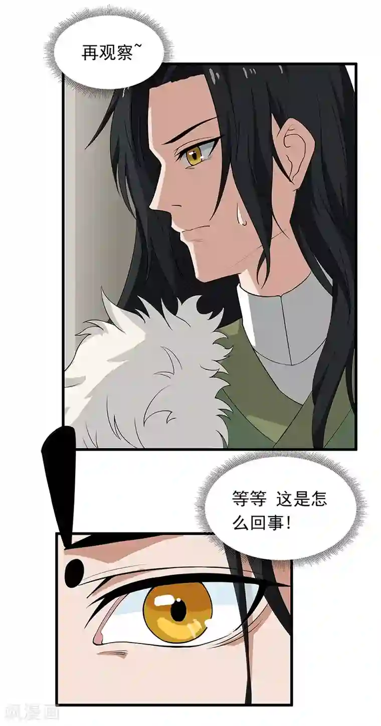 她是猫第11话 这是诅咒？