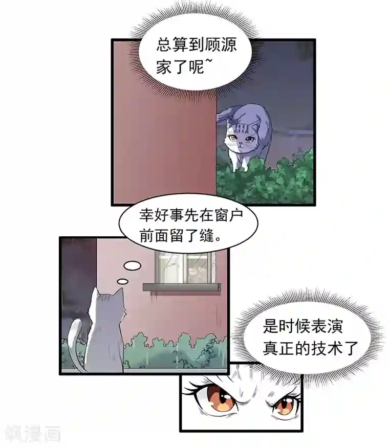 她是猫第14话 杀了公主