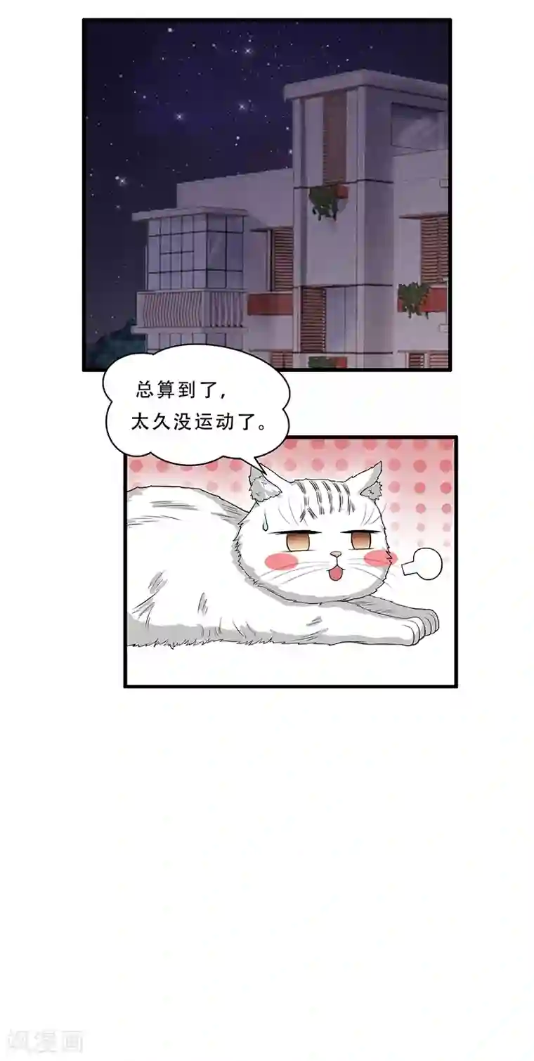 她是猫第14话 杀了公主