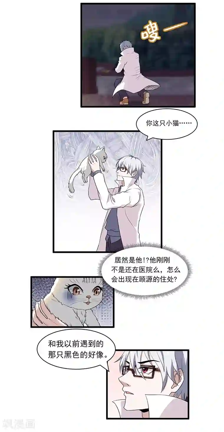 她是猫第14话 杀了公主