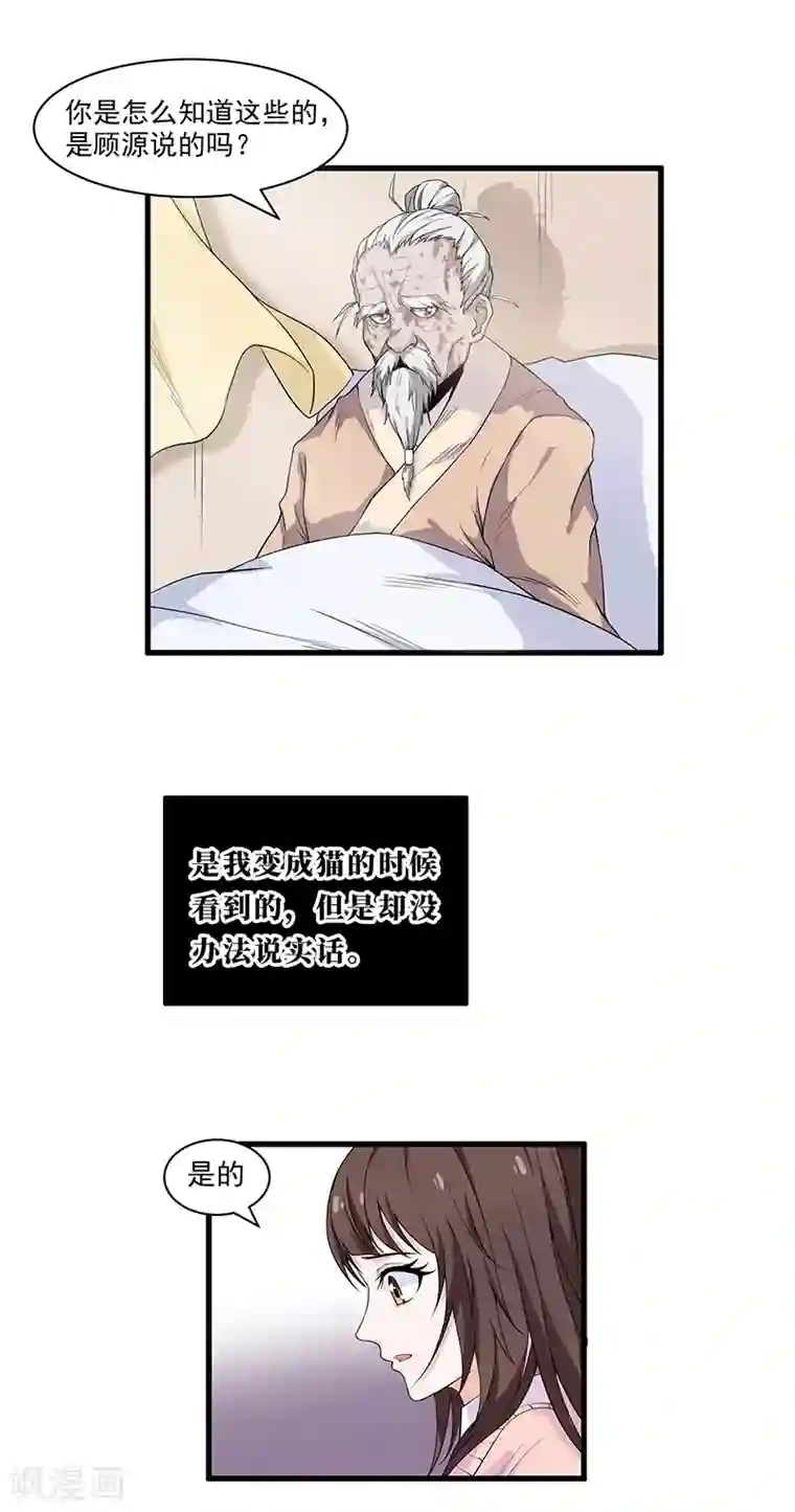 她是猫第16话 顾家秘辛
