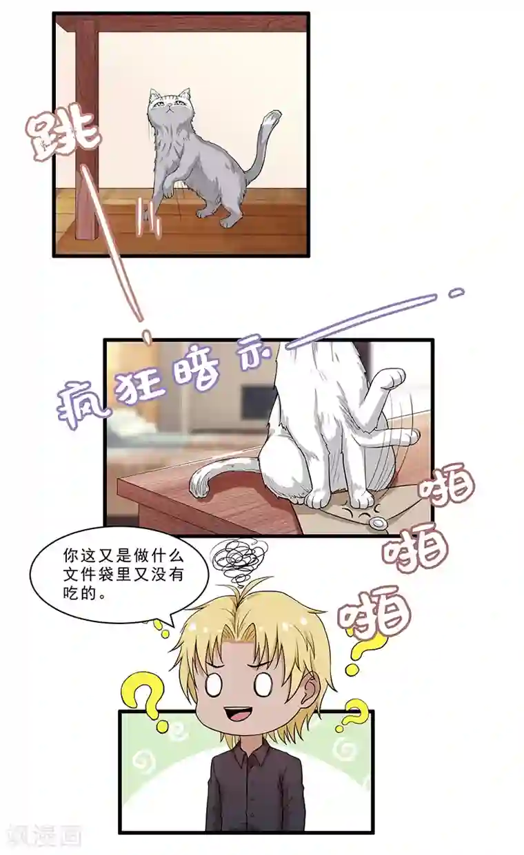 她是猫第17话 你还有心思把妹！
