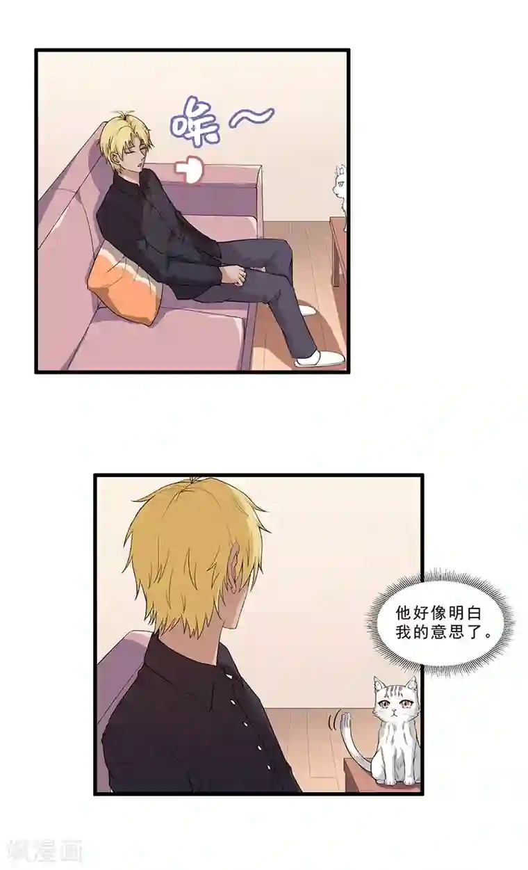 她是猫第18话 因果代价