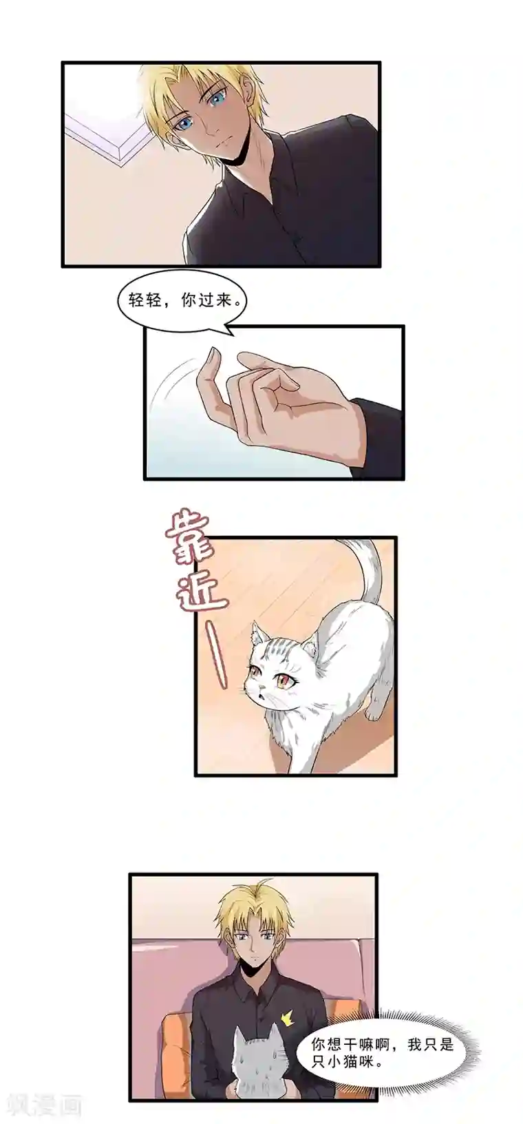 她是猫第18话 因果代价