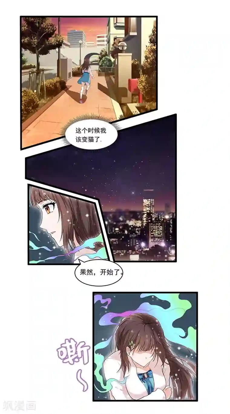 她是猫第20话 你身材……蛮好的