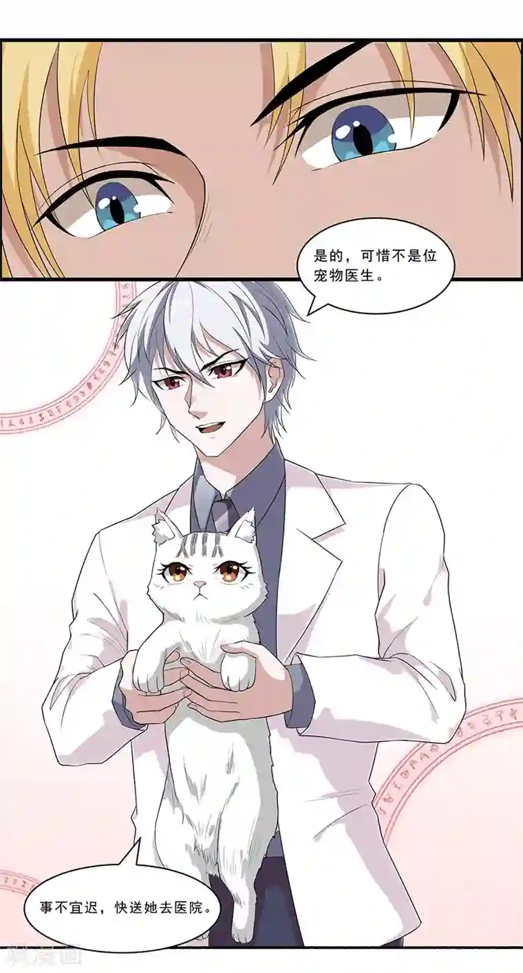 她是猫第23话 要去宠物医院