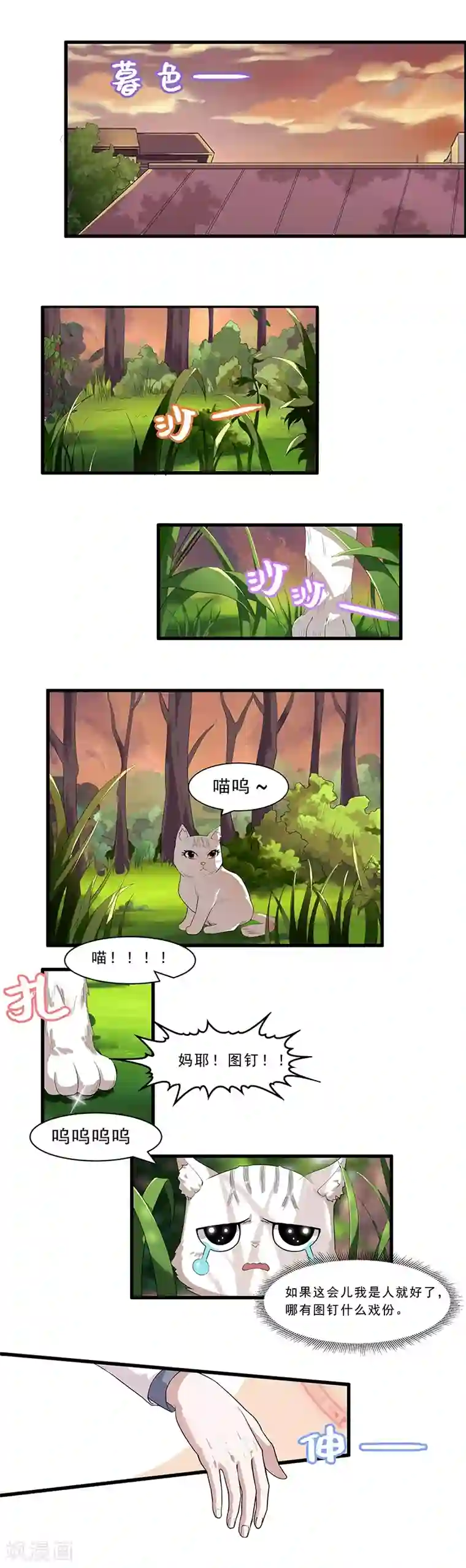 她是猫第23话 要去宠物医院