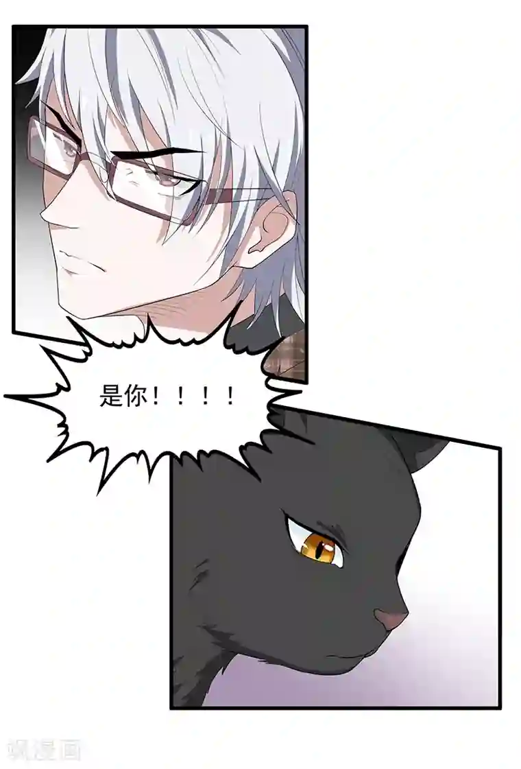 她是猫第26话 初到淮山