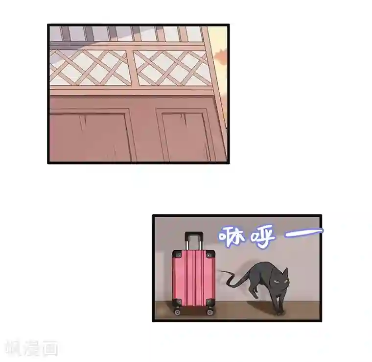 她是猫第26话 初到淮山