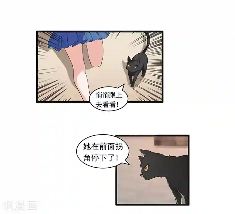 她是猫第29话 别看，危险