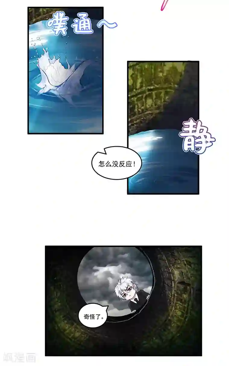 她是猫第47话 以假乱真