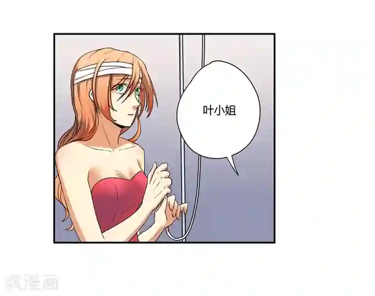 母乳喂养小牛动物第5话