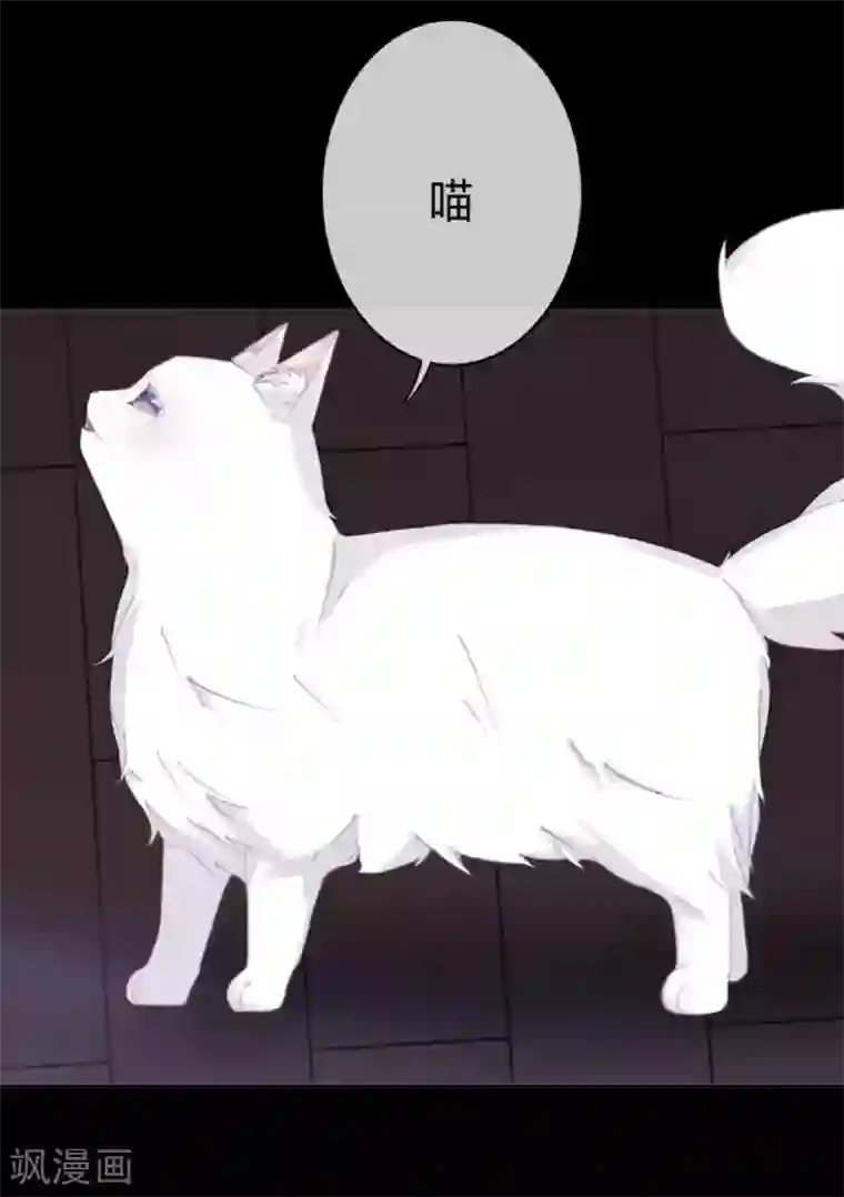 换皮第8话 你怎么可以见死不救