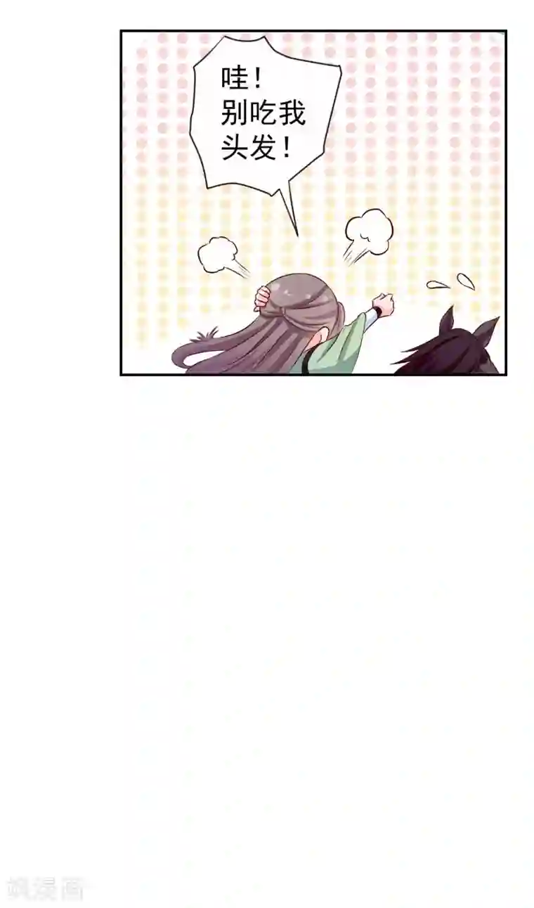 窈窕君子 女将好逑第13话 我在这里